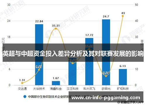 英超与中超资金投入差异分析及其对联赛发展的影响