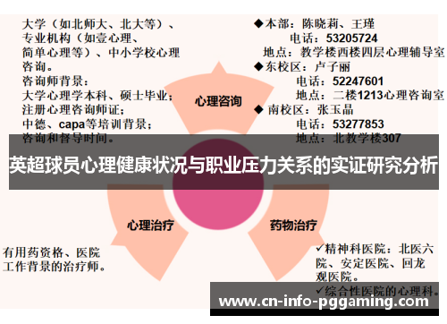 英超球员心理健康状况与职业压力关系的实证研究分析