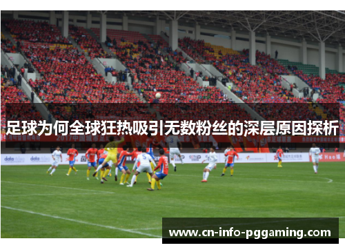 足球为何全球狂热吸引无数粉丝的深层原因探析