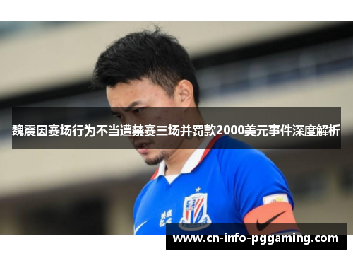 魏震因赛场行为不当遭禁赛三场并罚款2000美元事件深度解析