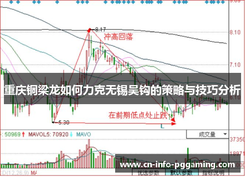 重庆铜梁龙如何力克无锡吴钩的策略与技巧分析