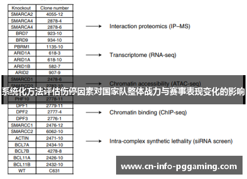 系统化方法评估伤停因素对国家队整体战力与赛事表现变化的影响 系统化方法评估伤停因素对国家队整体战力与赛事表现变化的影响